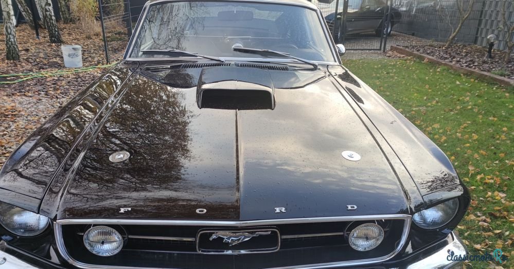 1967' Ford Mustang photo #5