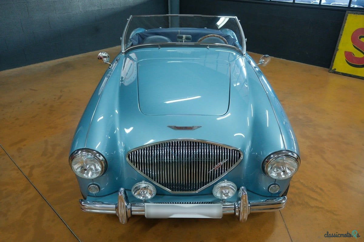 1955' Austin-Healey 100 photo #5