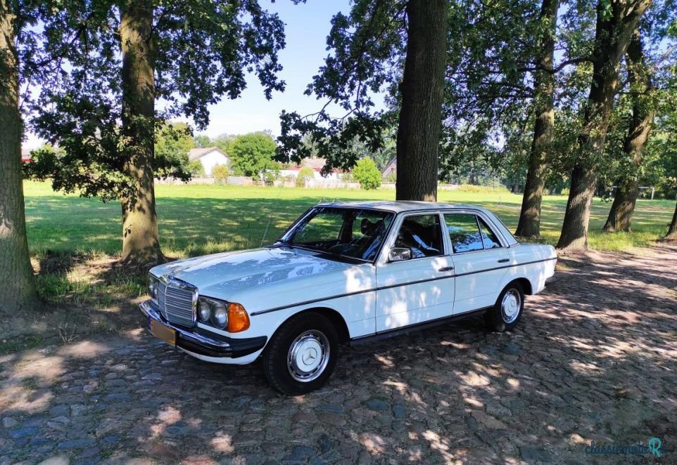 1979' Mercedes-Benz W123 photo #3
