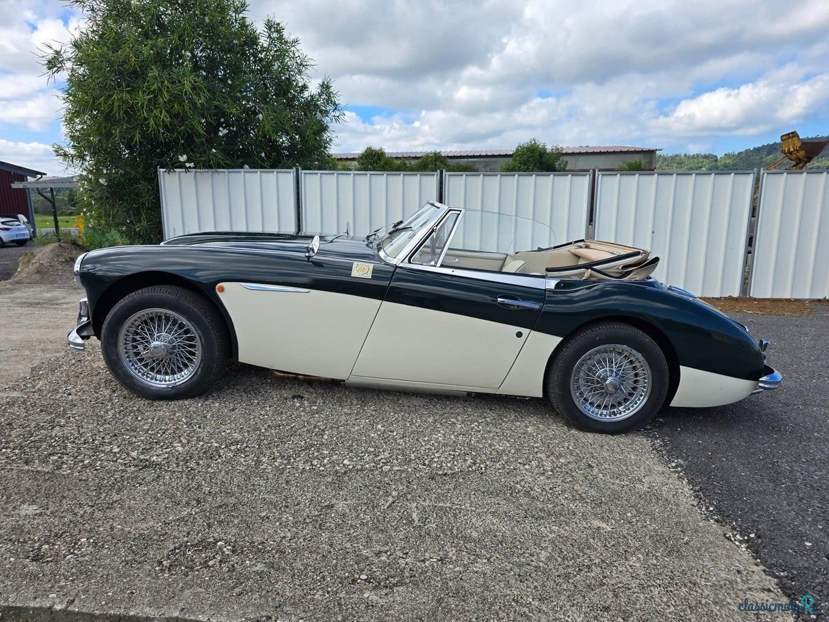 1962' Austin-Healey 3000 photo #3