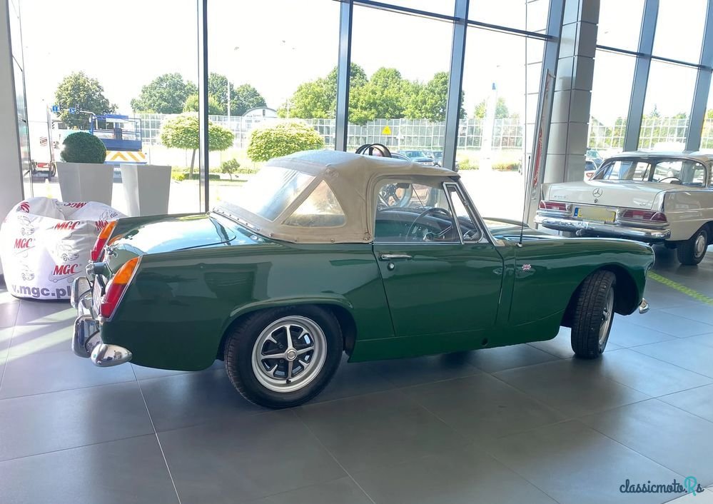 1967' Austin-Healey photo #4