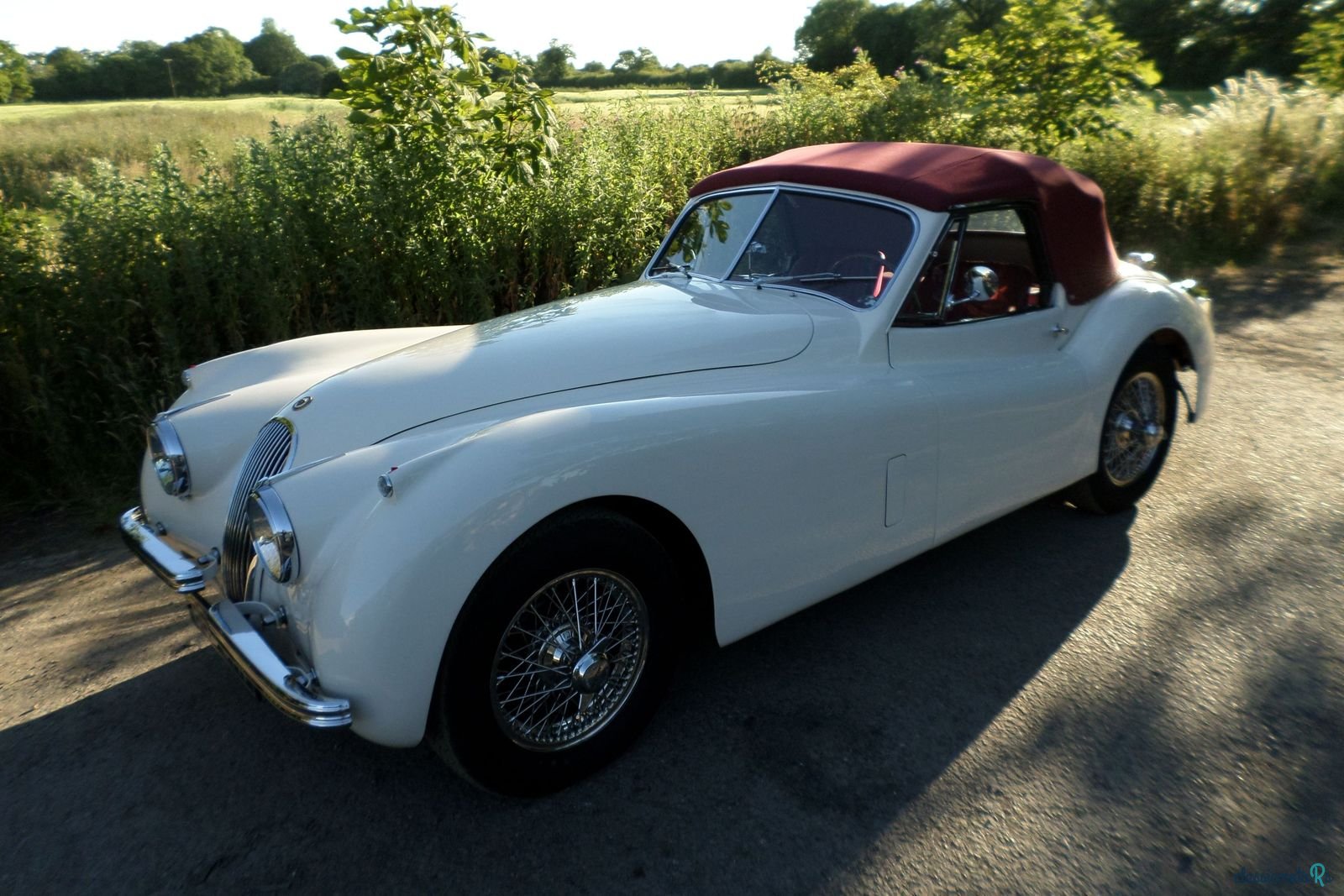 1953' Jaguar Xk120 photo #3