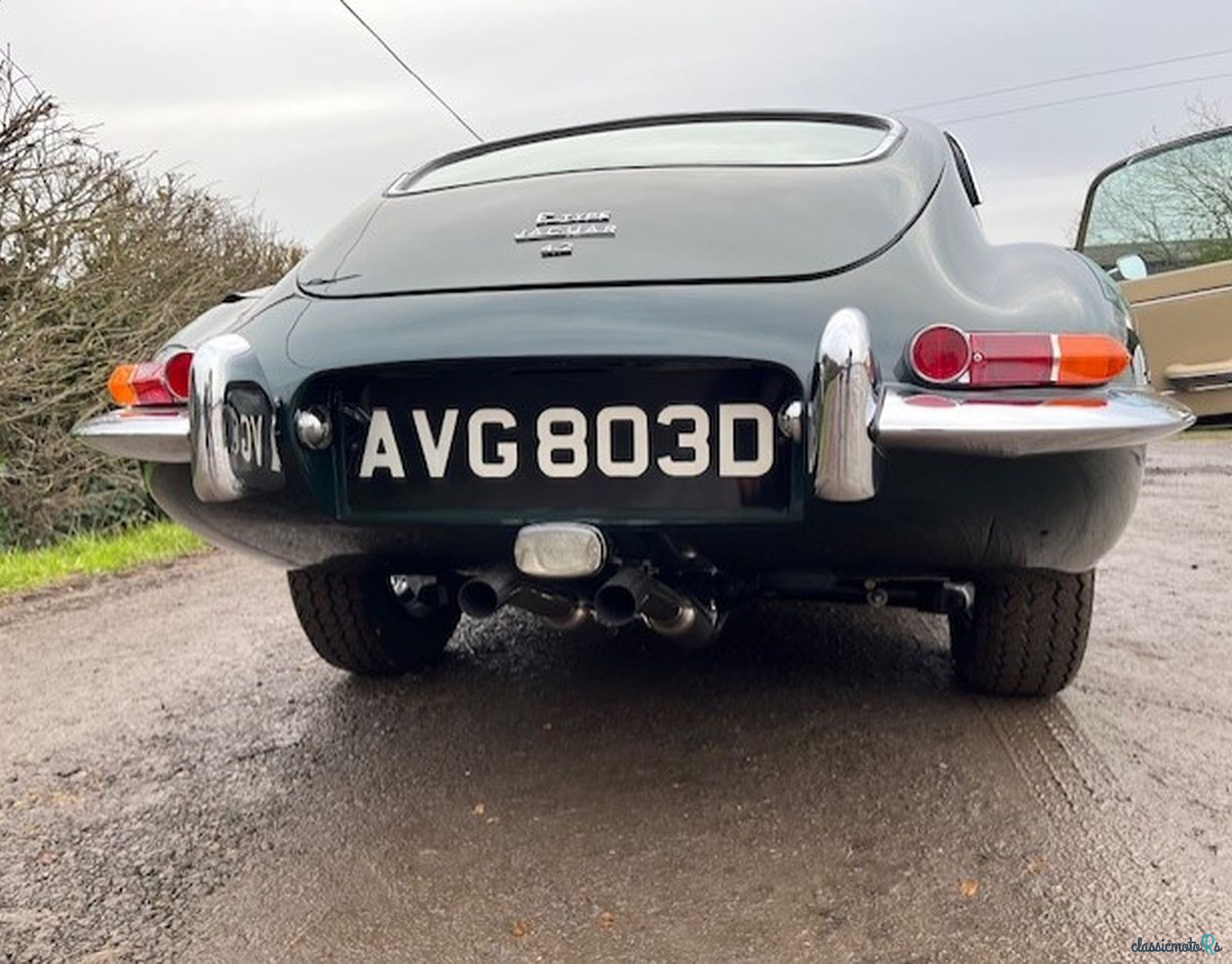 1966' Jaguar E-Type Series 1 photo #5