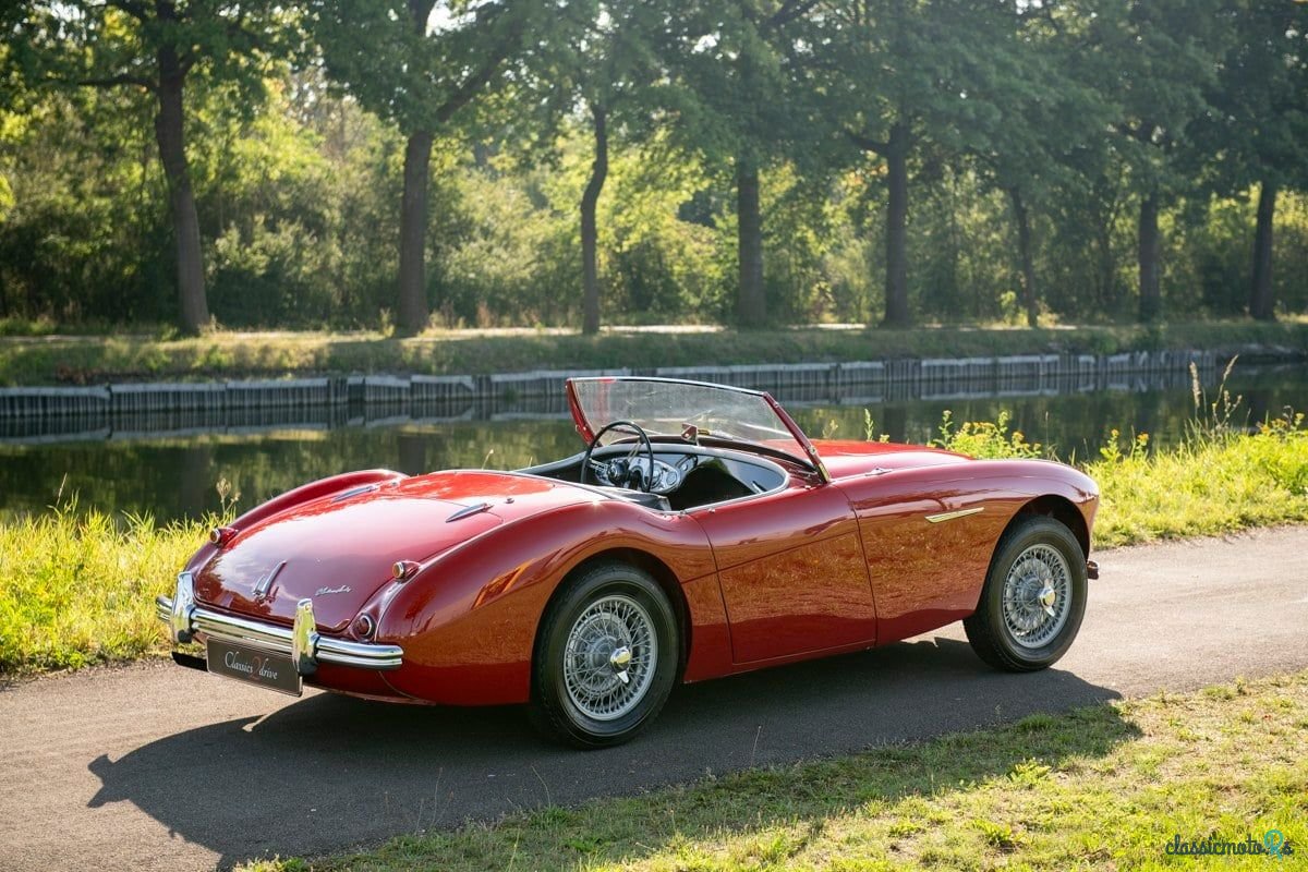 1955' Austin-Healey 100/4 photo #6
