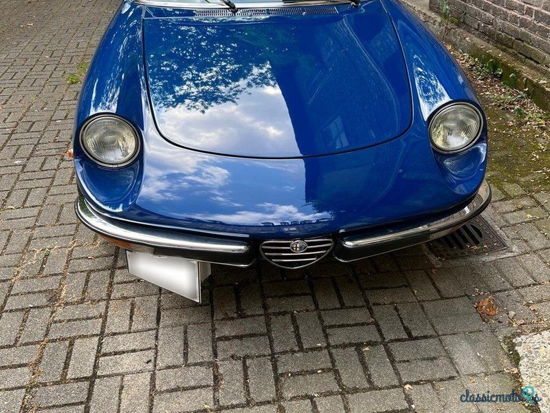 1981' Alfa Romeo Spider photo #1
