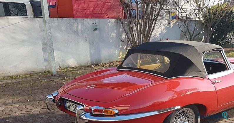 1966' Jaguar E-Type E Type photo #1