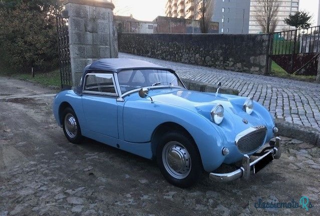 1959' Austin-Healey Sprite photo #3