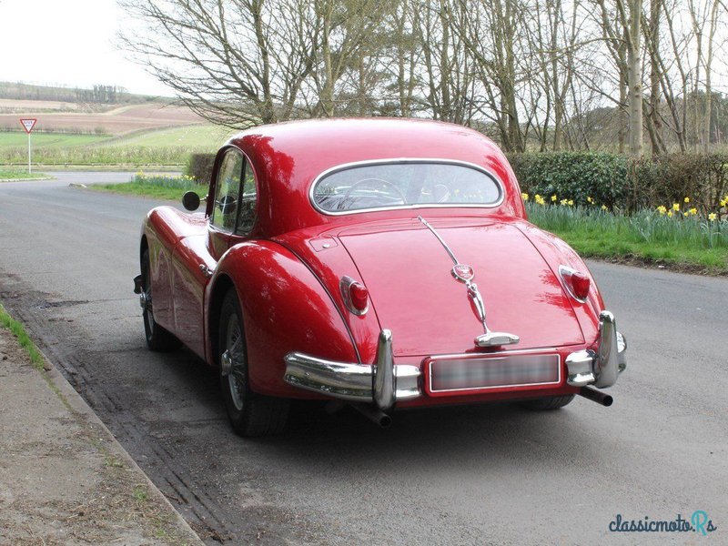 1955' Jaguar Xk140 photo #4