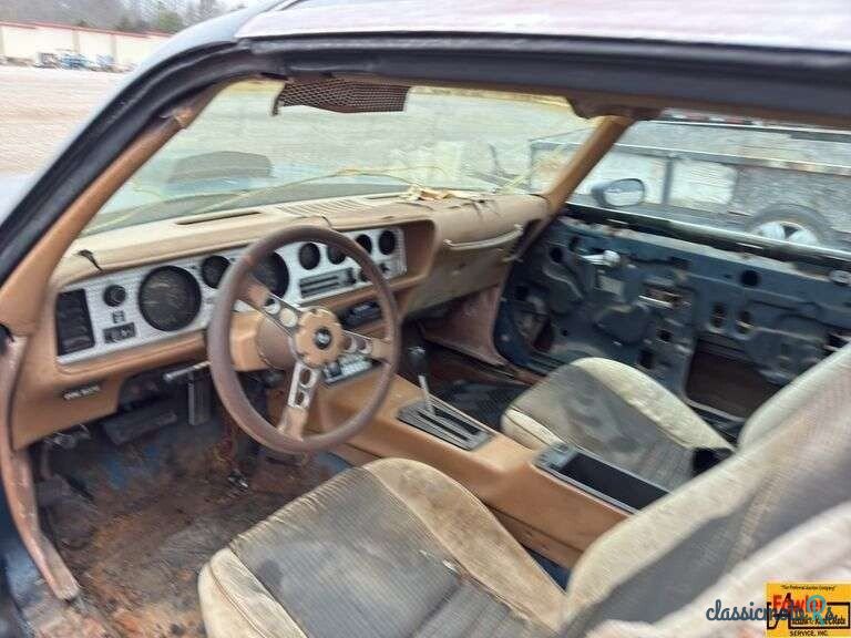 1979' Pontiac Trans Am photo #2