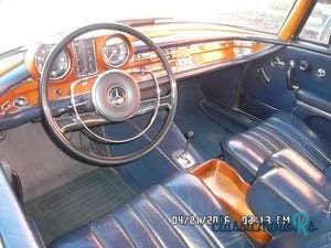 1967' Mercedes-Benz 250 photo #3