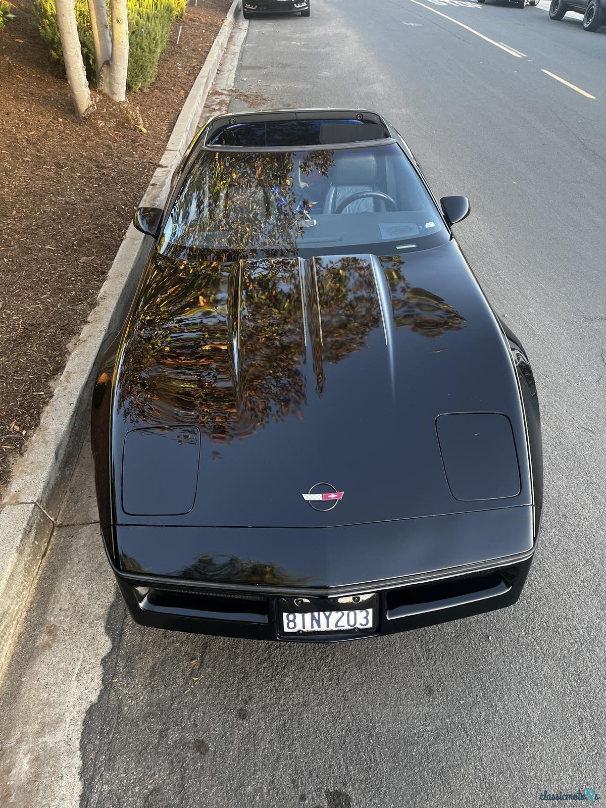 1984' Chevrolet Chevette Stock Original photo #2