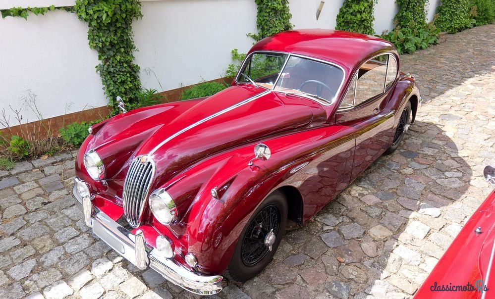 1955' Jaguar XK photo #5