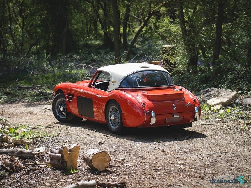 1960' Austin-Healey 3000 photo #4