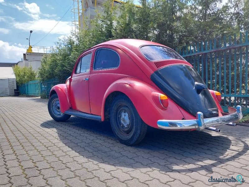 1959' Volkswagen Garbus photo #5