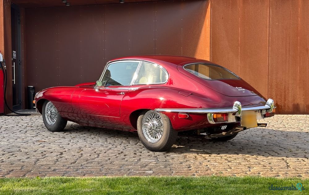1969' Jaguar E-Type photo #6