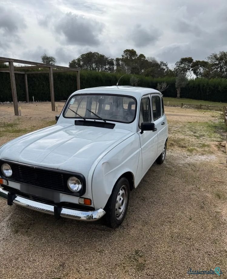 1990' Renault 4 1.0 Tl Savanne photo #2