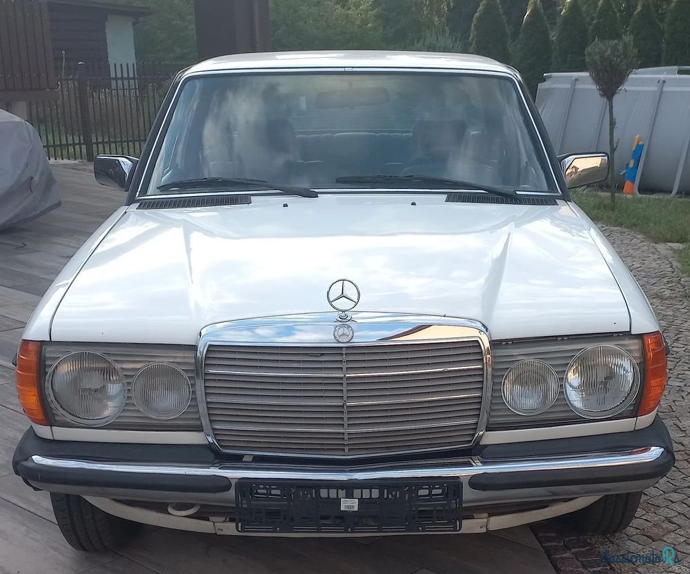 1977' Mercedes-Benz W123 photo #6