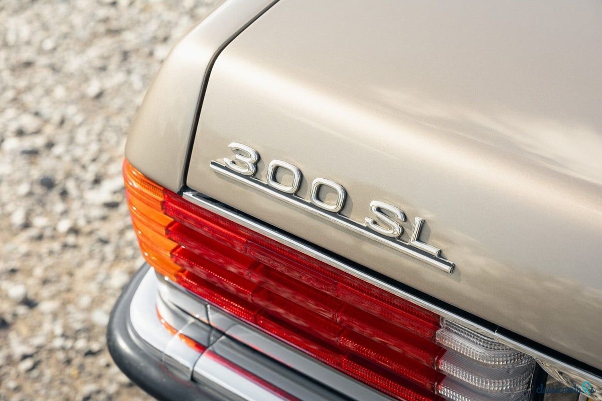 1989' Mercedes-Benz 300 photo #6