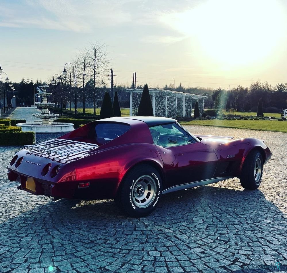 1975' Chevrolet Corvette photo #2