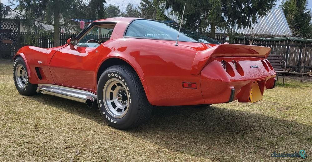 1978' Chevrolet Corvette photo #4