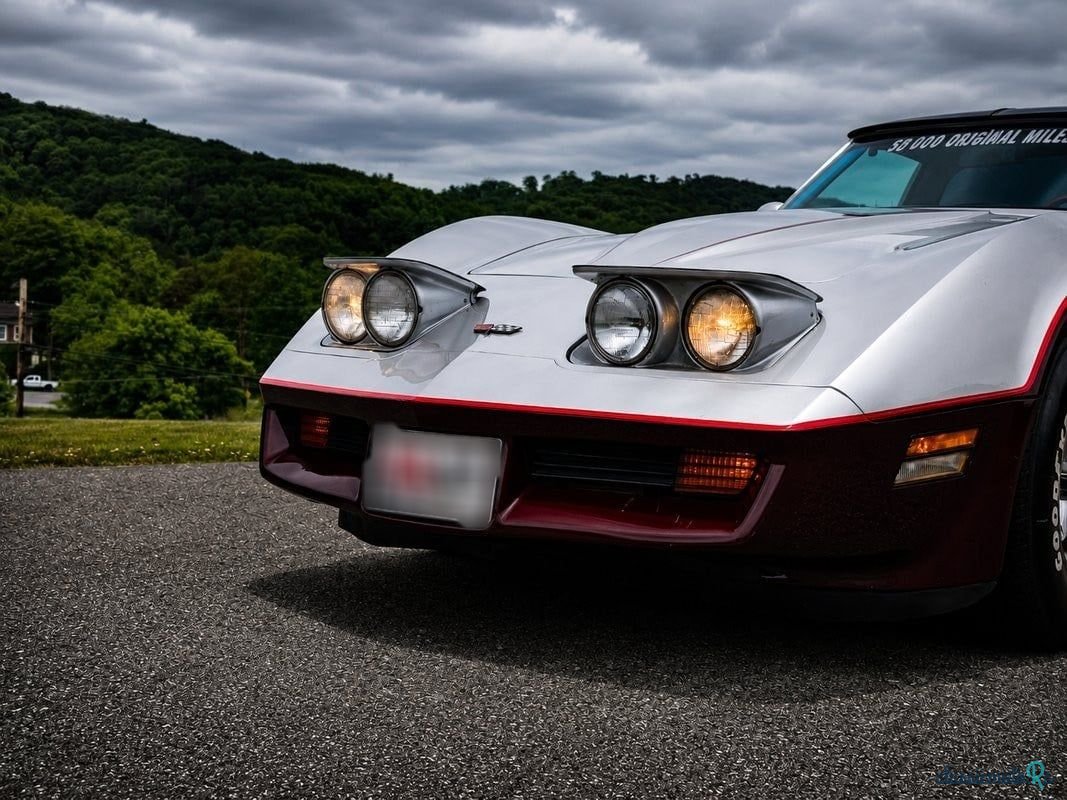 1982' Chevrolet Corvette photo #2