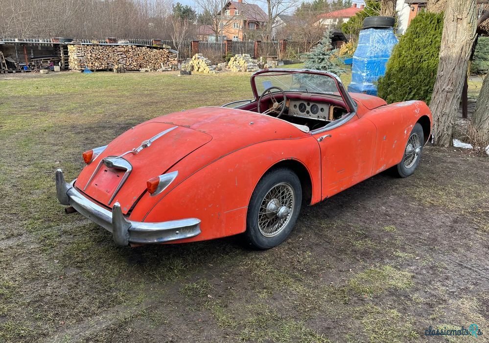 1959' Jaguar XK photo #5