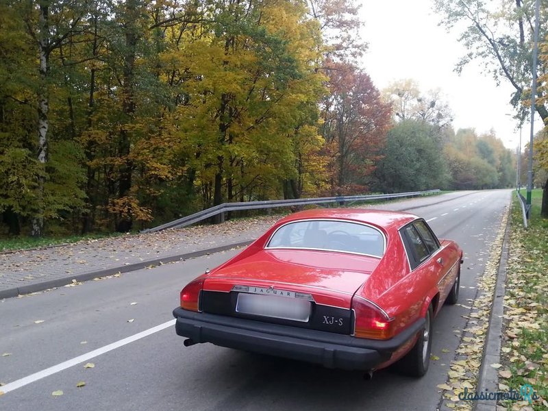 1976' Jaguar XJS photo #4