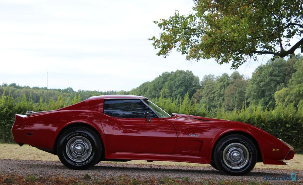 1976' Chevrolet Corvette photo #6