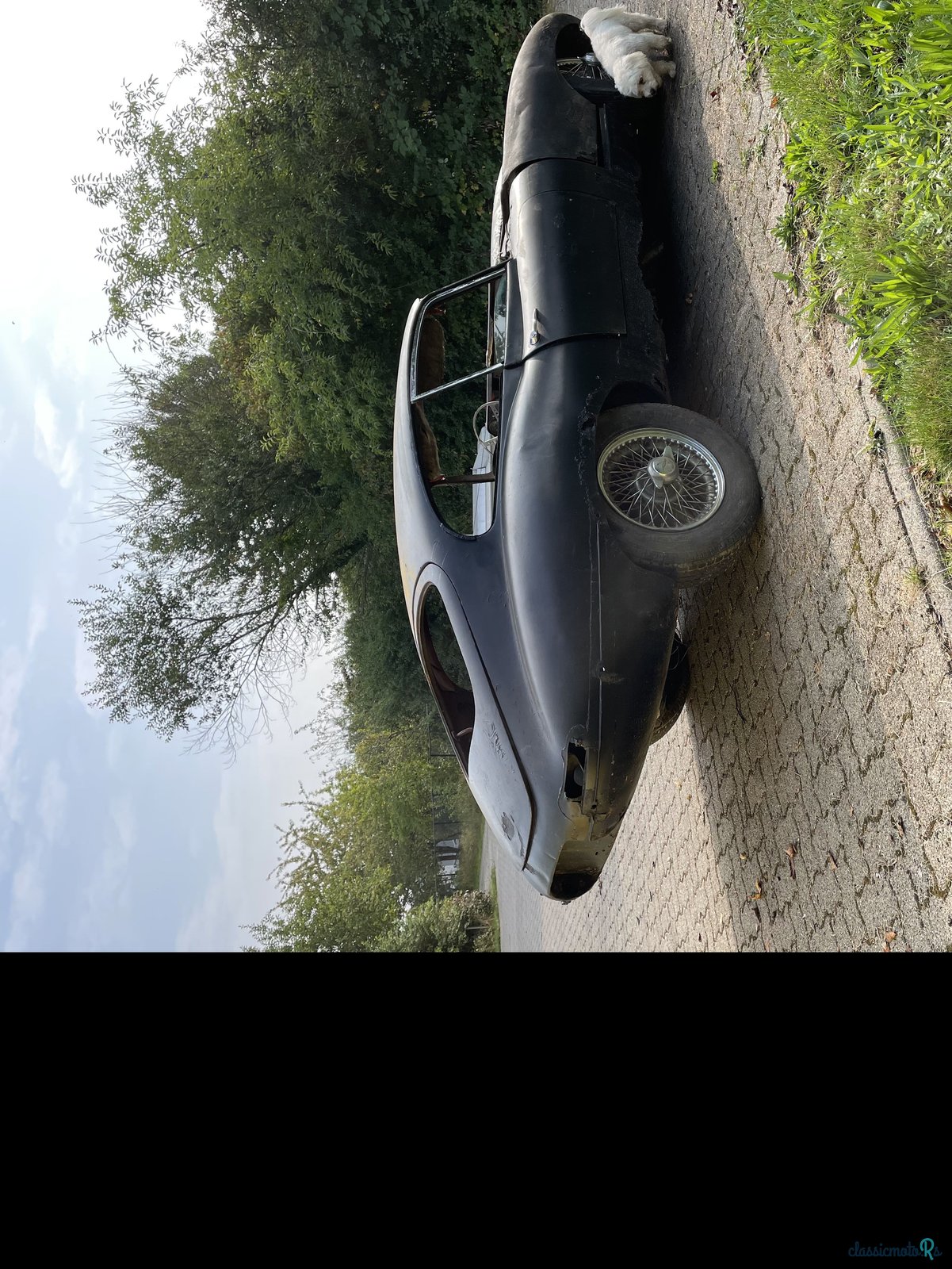 1963' Jaguar E-Type photo #2