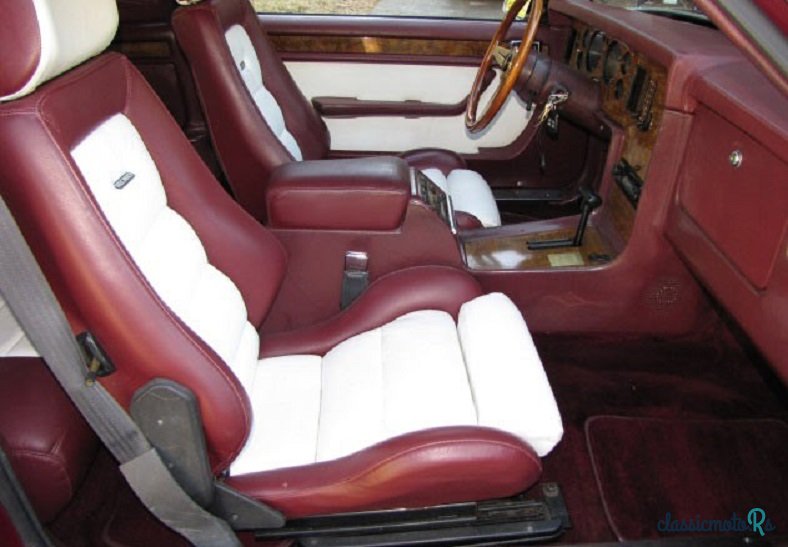 1985' Zimmer Golden Spirit photo #4