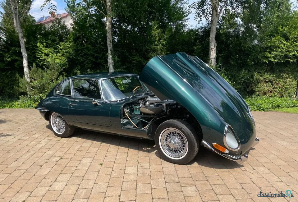 1966' Jaguar E-Type photo #5