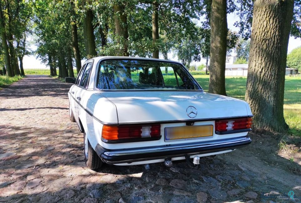 1979' Mercedes-Benz W123 photo #5