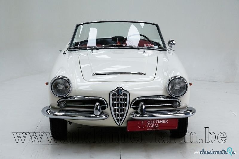 1965' Alfa Romeo Giulia photo #5