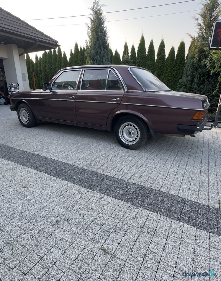 1979' Mercedes-Benz W123 photo #5