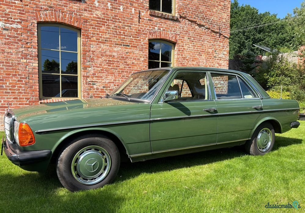1977' Mercedes-Benz W123 photo #2