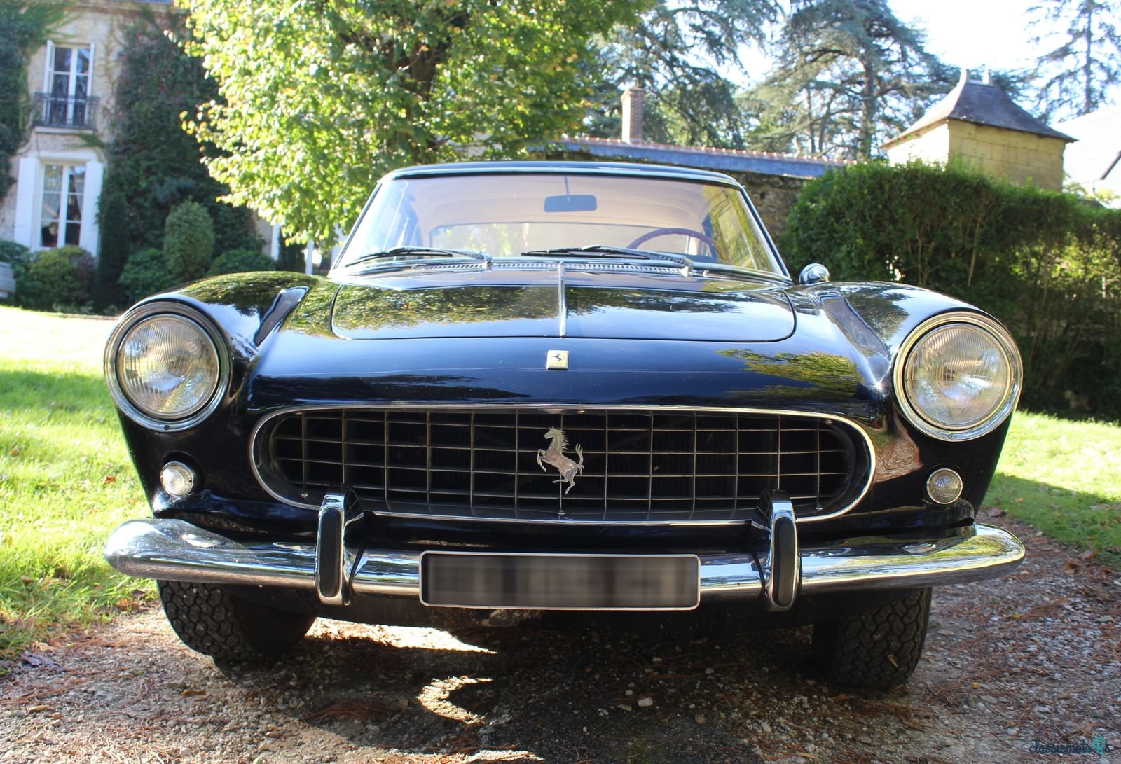 1961' Ferrari 250 photo #4
