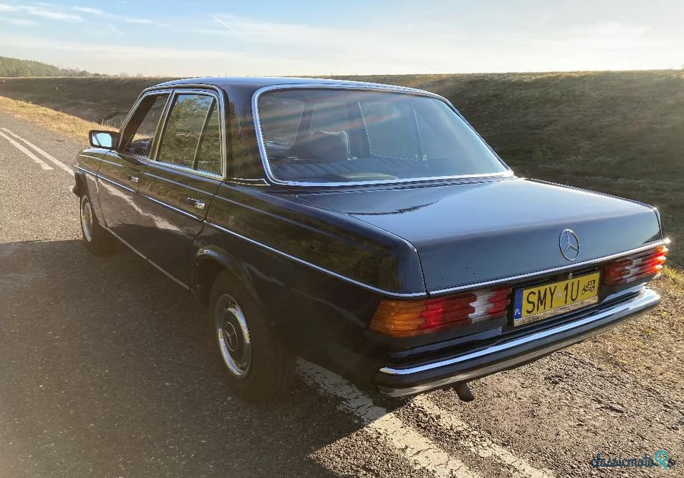 1979' Mercedes-Benz W123 photo #4