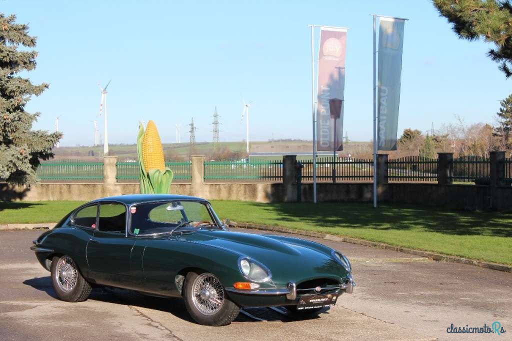 1963' Jaguar E-Type photo #2