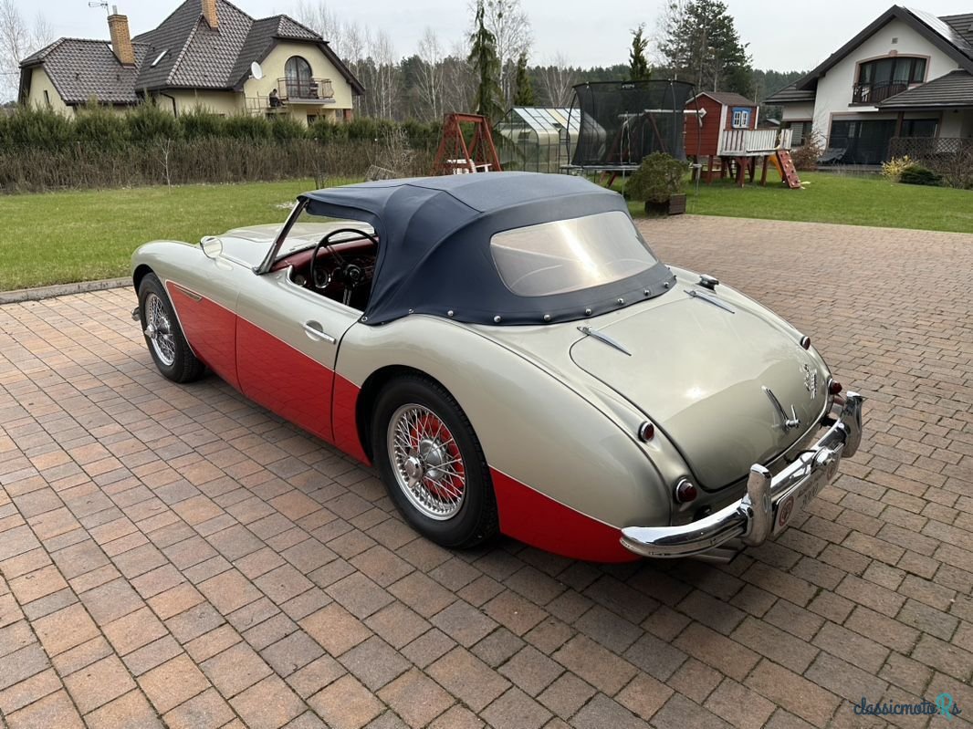 1960' Austin Healey photo #6