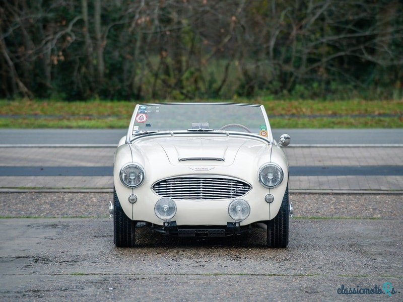 1957' Austin-Healey 100-6 photo #4