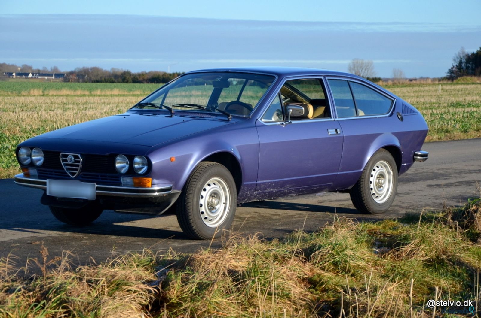1977' Alfa Romeo Alfetta photo #4