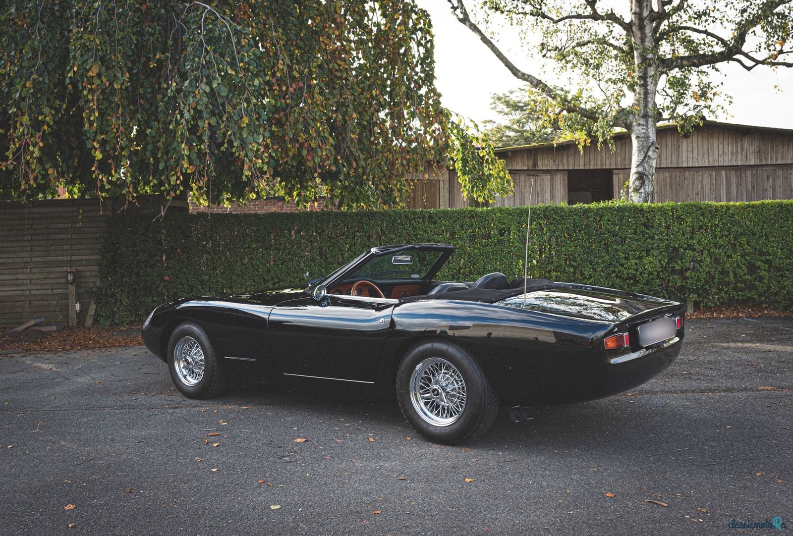 1966' Intermeccanica Italia photo #3