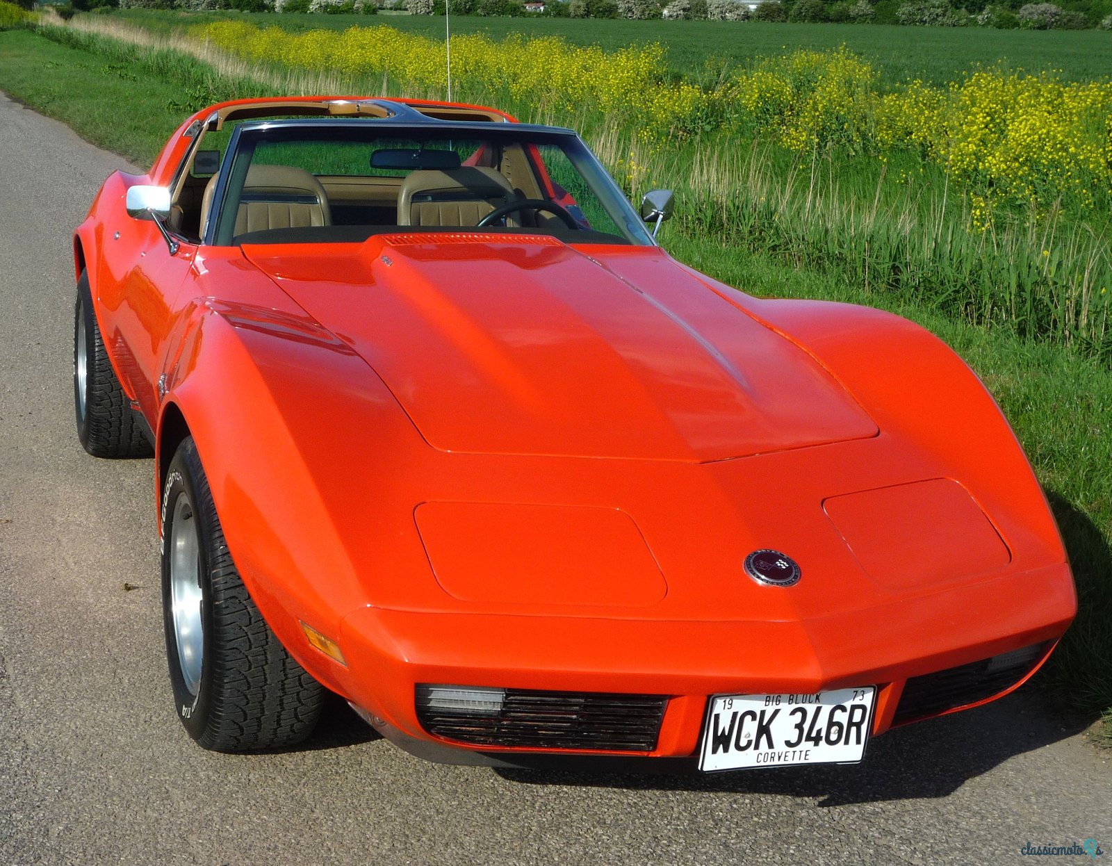 1973' Chevrolet Corvette photo #1
