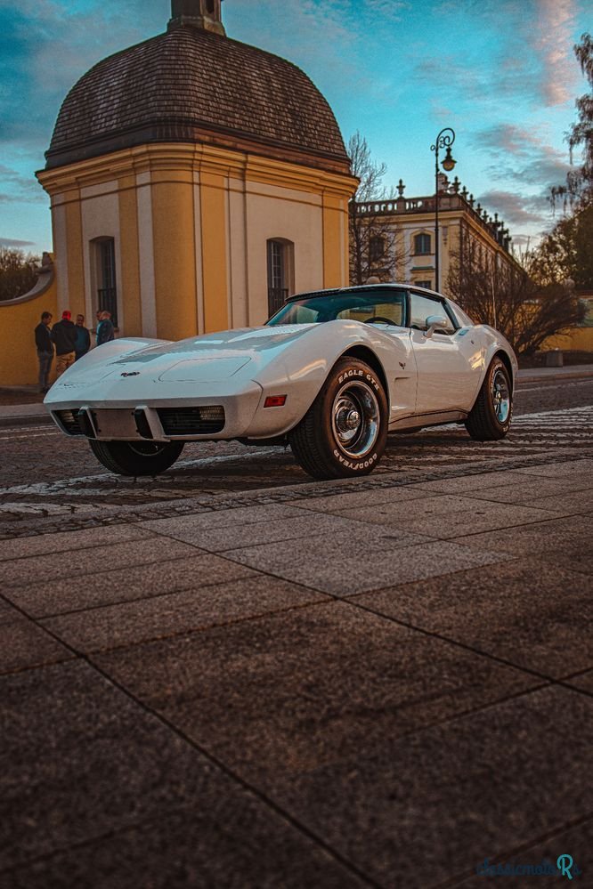 1977' Chevrolet Corvette photo #4