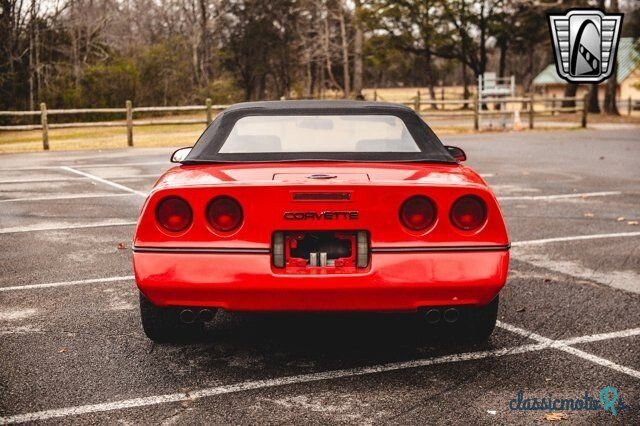 1989' Chevrolet Corvette photo #5