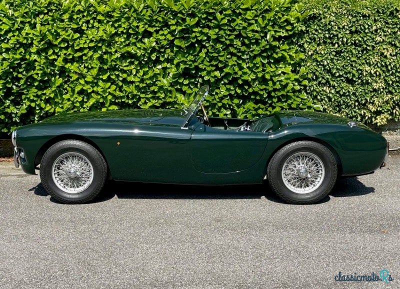 1955' AC Ace photo #3