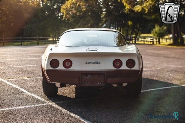 1981' Chevrolet Corvette photo #5