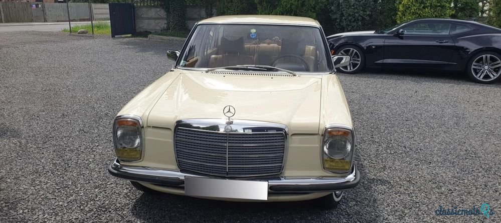 1976' Mercedes-Benz W114 photo #2