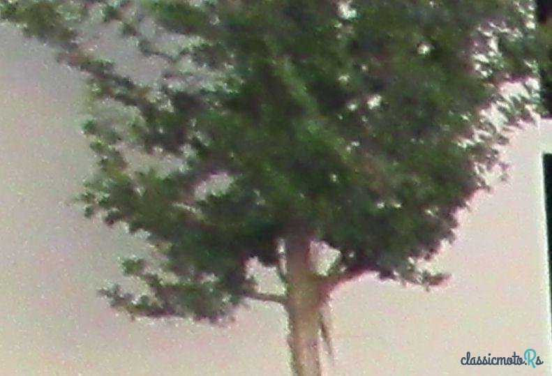 1937' Packard Model 115C photo #2