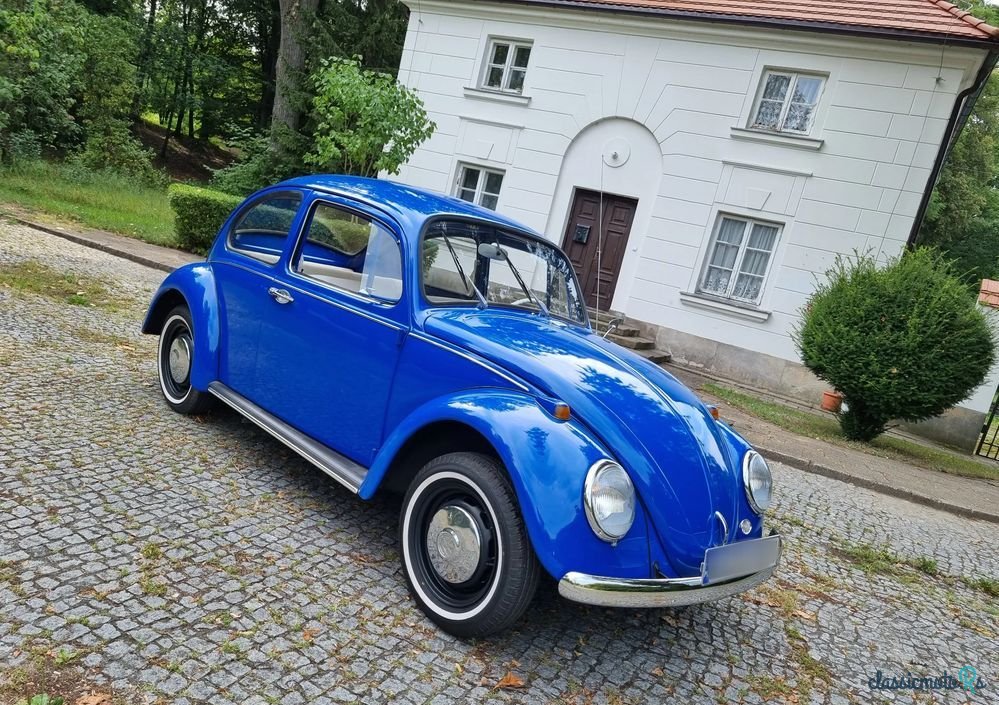 1967' Volkswagen Garbus photo #2